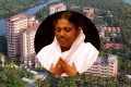 Amma online livestream
